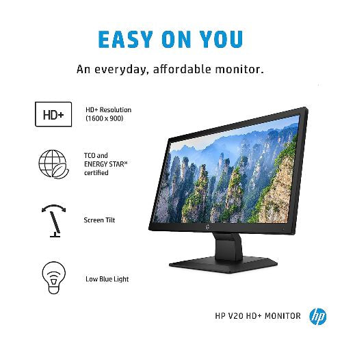 HP V20 49.53 cm (19.5) HD+ Monitor HP