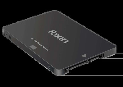 Foxin FX 256 PRO SSD Foxin